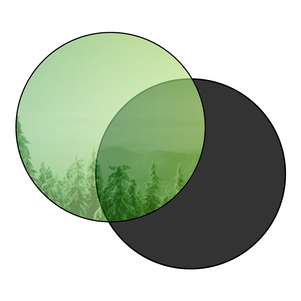 A graphic illustration showing the Green Revo outer ski lens against the Smoke inner ski lens